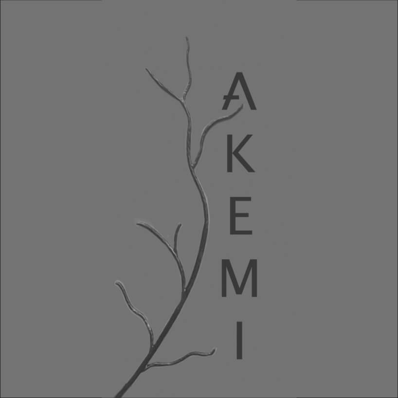 logo-akemi